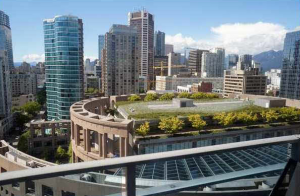 tv tower 788 hamilton